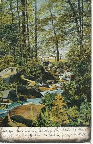 PC21146 alte Postkarte. Im Wald. Nr. 235. 1906