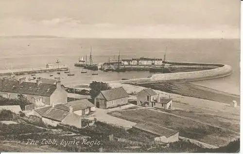 PC20309 The Cobb. Lyme Regis. F. Dunster. Nr. E 34269