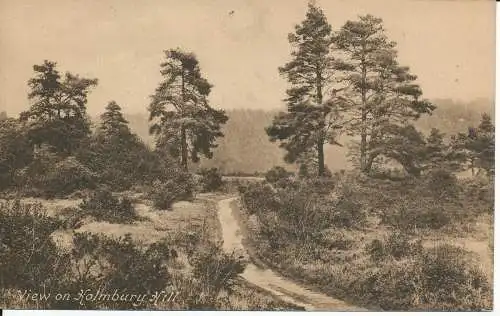 PC20578 Blick auf den Holmbury Hill. Frith. Nr. 66767