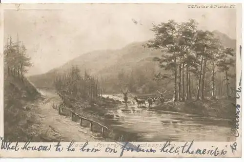 PC17685 Near Inverey. Aberdeenshire. Faulkner. 1903