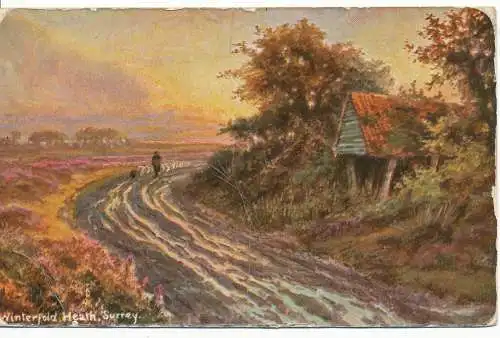 PC17700 Winterfalte Heide. Surrey. Faksimile. 1907