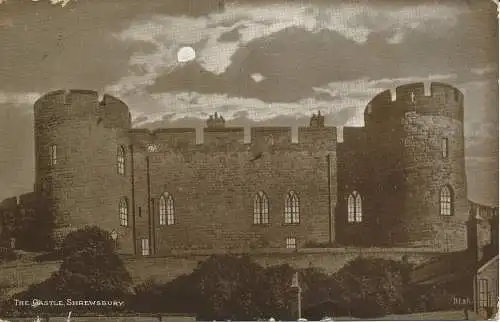 PC21143 Das Schloss. Shrewsbury. Von Moonlight. D.F und Co. 1905