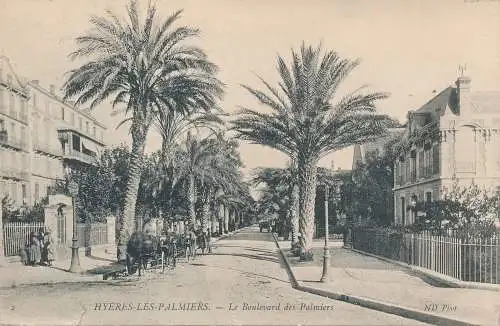 PC18850 Hyeres Les Palmiers. Der Boulevard des Palmiers. 1910