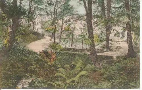 PC21039 Clovelly. Hobby Drive. Frith. 1905