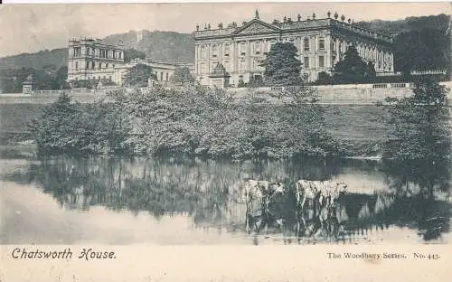 PC21109 Chatsworth House. Woodbury. Nr. 443. 1904