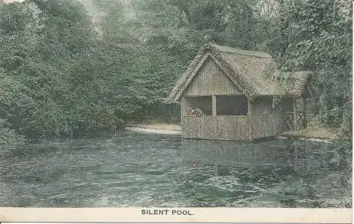 PC21245 Silent Pool. Nr. 1147