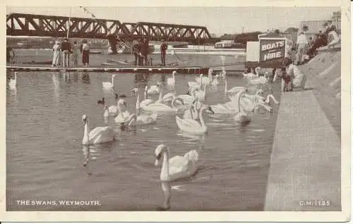 PC20836 Die Schwäne. Weymouth. Donner und Clayden. Sunray. 1953