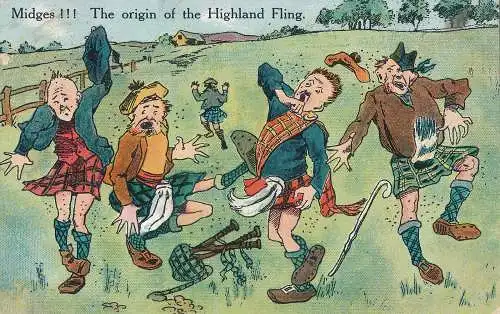 PC23484 Midges. Der Ursprung des Highlandflings. MacAllister. 1907