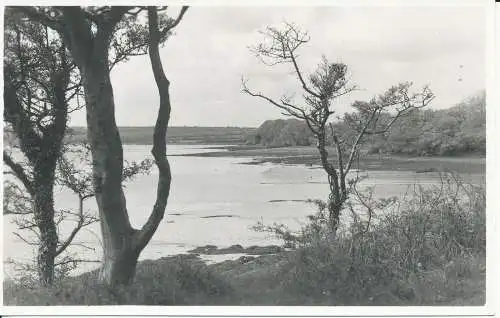 PC19651 River Cleddau bei Picton. RP