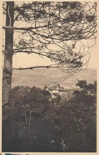 PC18700 Portugal. Sintra Monserrate. Nr. 35