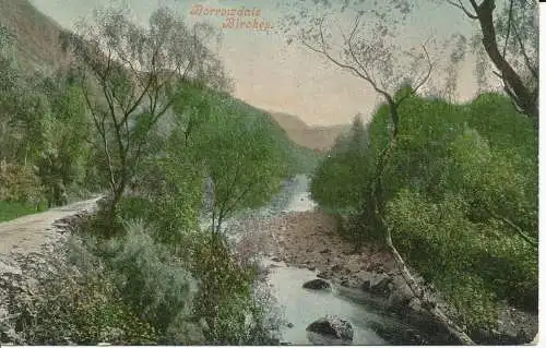 PC21467 Borrowdale Birken. Valentinstag. 1907