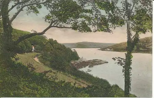 PC21521 Salcombe Castle etc. 1907