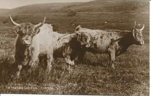 PC19643 Ein Highland Gathering. Inveraray. Nr. CS 293. RP