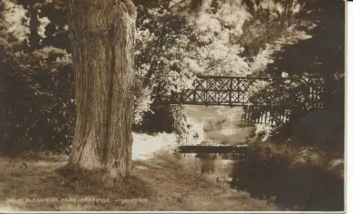 PC22487 In Alexandra Park. Hastings. Judges Ltd. Nr. 201. RP