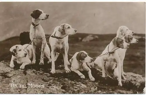 PC18230 alte Postkarte. Auf den Mauren. 1915