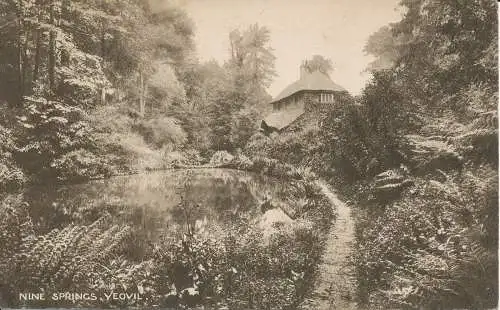 PC21928 Neun Federn. Yeovil. Milton. Fotografie. 1923