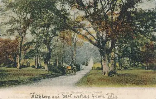 PC22627 Road to Minstead. Neuer Wald. F.G.O. Stuart. 1904