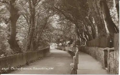 PC19452 China Avenue. Shanklin. I. W. Sweetman. Sonnenschein. Nr. 3396. RP