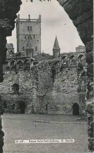 PC19234 Palastruinen von Torbogen. St. Davids. Frith. 1967