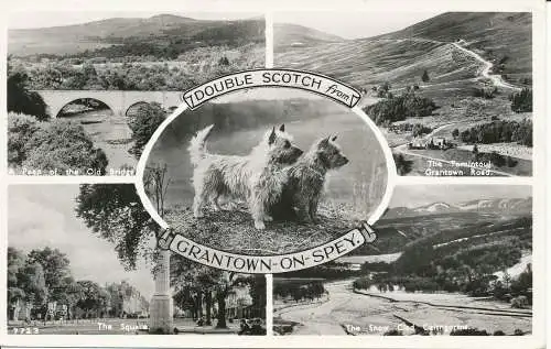 PC19324 Doppel-Scotch von Grantown on Spey. Multi-View. Weiß. RP. 1965