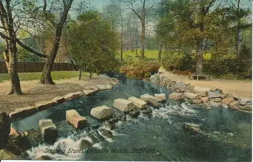 PC19794 Trittsteine. Endcliffe Woods. Sheffield. Valentinstag