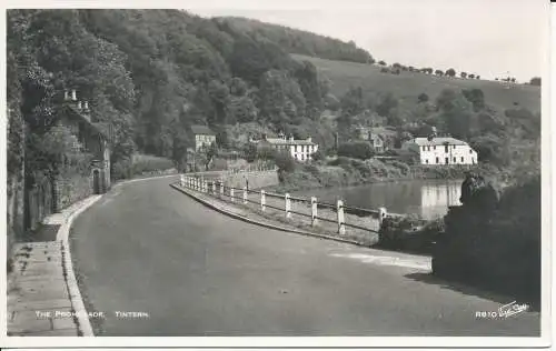 PC22820 The Promenade. Tintern. Walter Scott. Nr. R810. RP