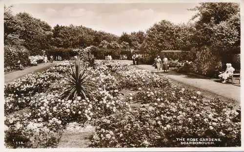 PC48167 Die Rosengärten. Scarborough. RP. 1951