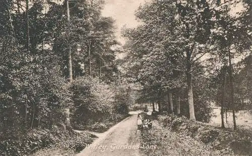 PC48403 Witley. Gurdons Lane. Frith. Nr. 66788. 1916