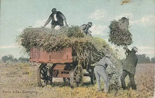 PC48608 Farm Life. Tragen. B. Hopkins