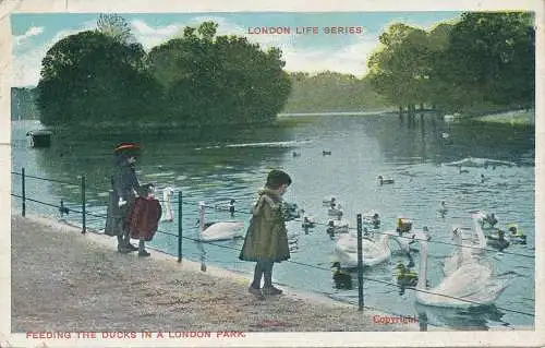 PC63451 Füttern der Enten in einem Londoner Park. London Life. 1908