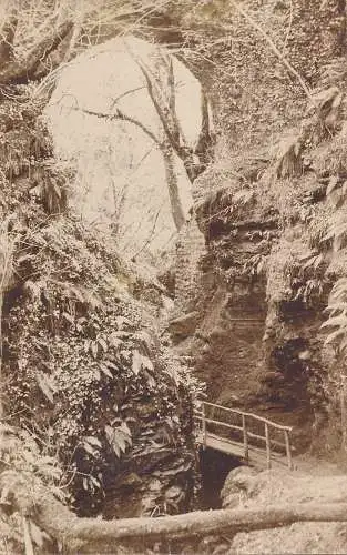 PC64192 alte Postkarte. Höhle im Wald. 1905