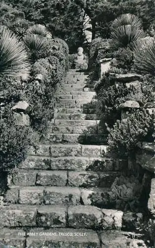 PC64332 Die Abteigärten. Tresco. Scilly. James Gibson. RP. 1959