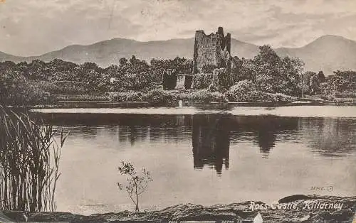 PC64098 Ross Castle. Killarney. N. McCarthy