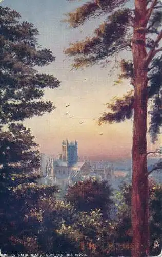 PC63505 Brunnenkathedrale aus Tor Hill Wood. Tuck. Öle. Nr. 7141