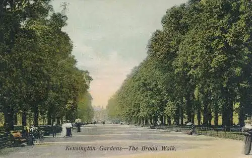 PC63511 Kensington Gardens. Der breite Spaziergang. Henry Brown. 1908