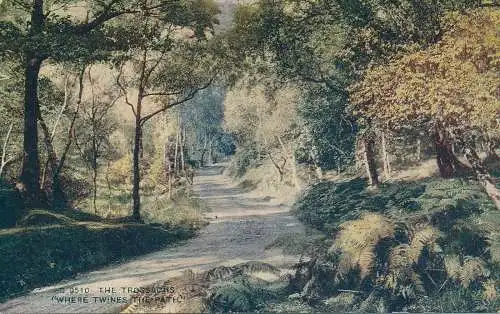 PC65140 The Trossachs. Wo sich der Weg verbindet. Photochrom. Celesque