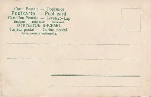 PC65450 alte Postkarte. See und Wald