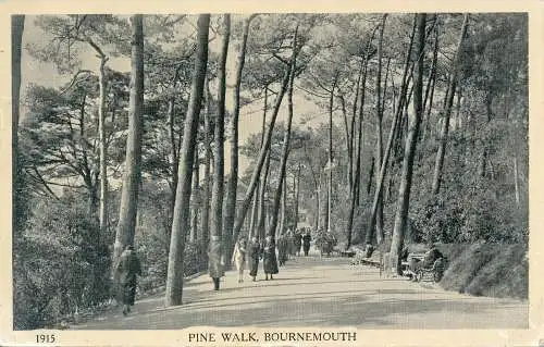 PC65560 Pine Walk. Bournemouth. C. Richter