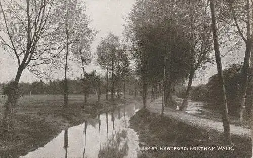 PC66996 Hertford. Northam Walk. Photochrom. Sepiatone. Nr. 36486