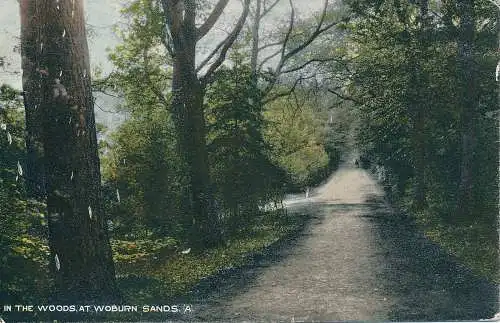 PC63778 Im Wald bei Woburn Sands. Cox. 1907