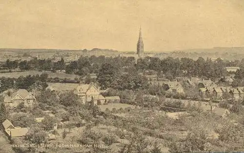 PC64350 Salisbury von Harnham Hill. Photochrom. Sepiatone. Nr. 44398