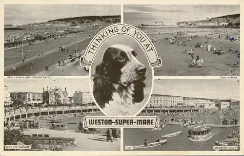 PC67067 Ich denke an Sie bei Weston Super Mare. Multi View