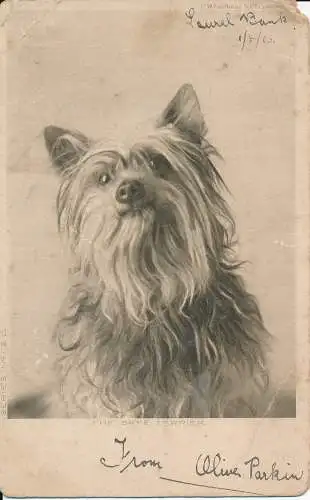 PC67068 The Skye Terrier. Faulkner. 1903