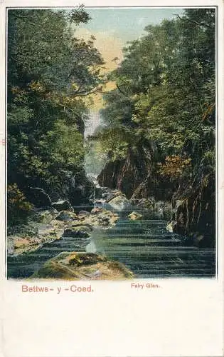 PC66289 Bettws Y Coed. Fairy Glen. Pfau. Autochrom