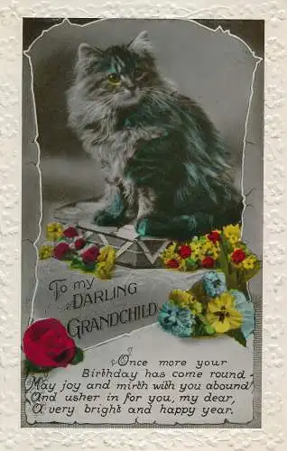 PC67558 Grußkarte. An mein liebes Enkelkind. Eine Katze. RP. 1936