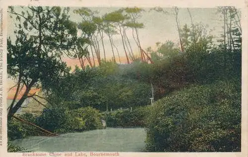 PC67957 Branksome China and Lake. Bournemouth. J.E. Beale. 1907