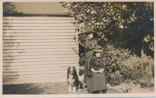 PC69962 alte Postkarte. Frauen und ein Hund