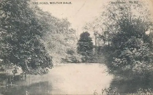 PC71641 Der Teich. Welton Dale. 1906