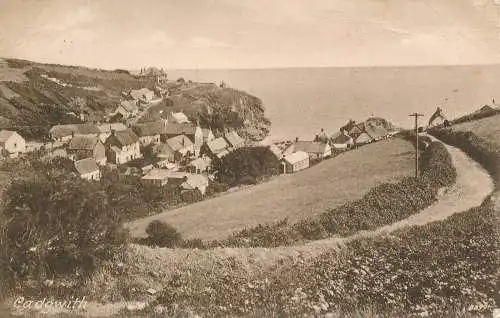 PC71642 Cadgwith. Frith. 1922