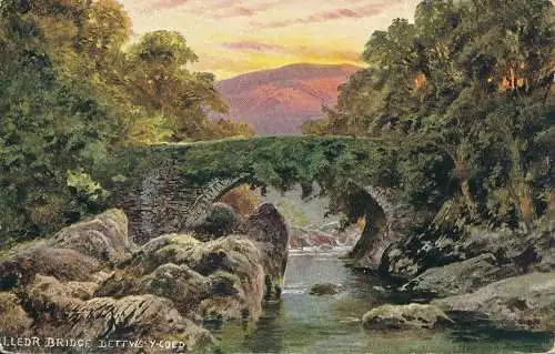 PC69459 Lledr-Brücke. Bettws Y Coed. Hildesheimer. 1905